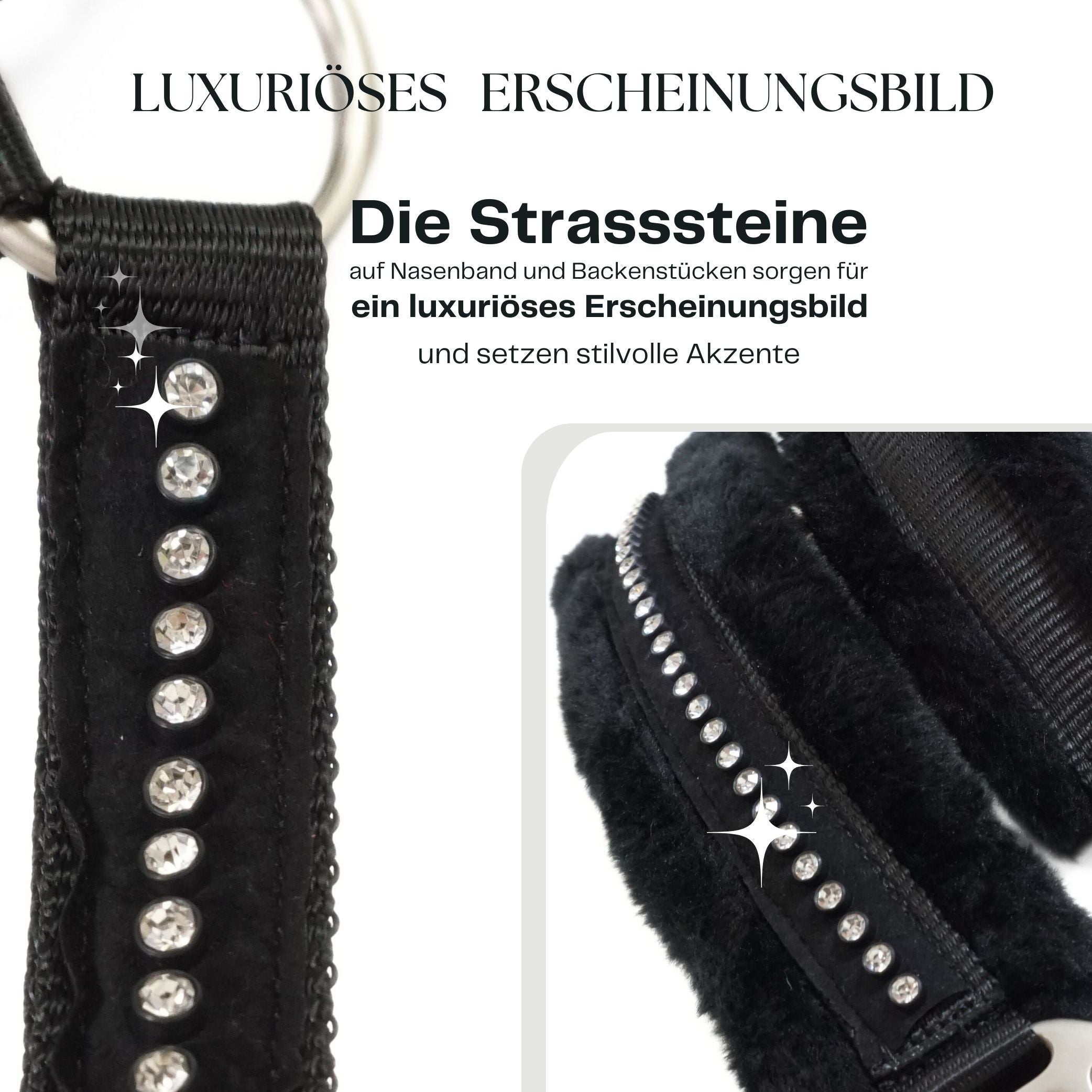 Halfter für Pferde in schwarz mit Strass